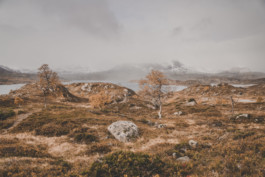 Schreiberling — Bildermacher — Geschichtenerzähler