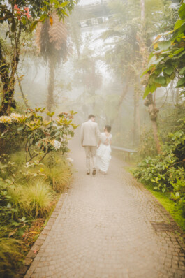 Schreiberling — Bildermacher — Geschichtenerzähler