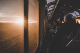 Schreiberling — Bildermacher — Geschichtenerzähler