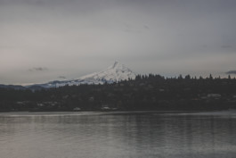 Schreiberling — Bildermacher — Geschichtenerzähler