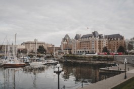 Schreiberling — Bildermacher — Geschichtenerzähler