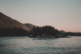 Schreiberling — Bildermacher — Geschichtenerzähler