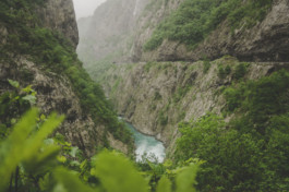 Schreiberling — Bildermacher — Geschichtenerzähler