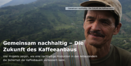 Schreiberling — Bildermacher — Geschichtenerzähler