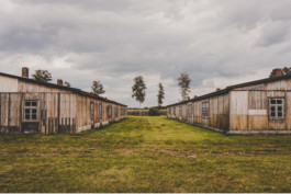 Schreiberling — Bildermacher — Geschichtenerzähler